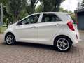 Kia Picanto Picanto 1.0 CVVT BusinessL. Blanco - thumbnail 9