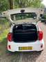 Kia Picanto Picanto 1.0 CVVT BusinessL. Blanco - thumbnail 19