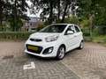 Kia Picanto Picanto 1.0 CVVT BusinessL. Blanco - thumbnail 7