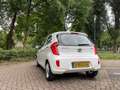 Kia Picanto Picanto 1.0 CVVT BusinessL. Blanco - thumbnail 13