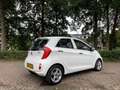 Kia Picanto Picanto 1.0 CVVT BusinessL. Blanco - thumbnail 14