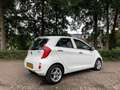 Kia Picanto Picanto 1.0 CVVT BusinessL. Blanco - thumbnail 15