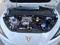 CUPRA Raval ENDURANCE 52/55 155kW/210 PS Weiß - thumbnail 24