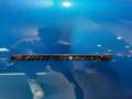 Alfa Romeo Giulia My23 2.2 Turbo Diesel 210 Cv Awd Competizione Blu/Azzurro - thumbnail 11