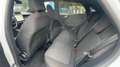Ford Puma ST-Line Blanc - thumbnail 14