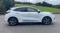 Ford Puma ST-Line 1.0 Panorama,Winterp.,Matrix LED,Fahrass.s Weiß - thumbnail 6