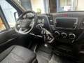 Iveco Daily Daily 35C18HA8V 4100L HD Weiß - thumbnail 7