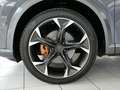 CUPRA Formentor 4Drive *MatrixLED*AHK*BEATS*LEDER* Grau - thumbnail 9