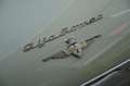 Alfa Romeo Spider 2000 Spider , Touring - Toprestauriert Weiß - thumbnail 19