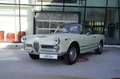 Alfa Romeo Spider 2000 Spider , Touring - Toprestauriert Weiß - thumbnail 36