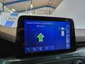 Ford Focus 1.0 EcoBoost Active Business / Panoramadak / NL Au Azul - thumbnail 30