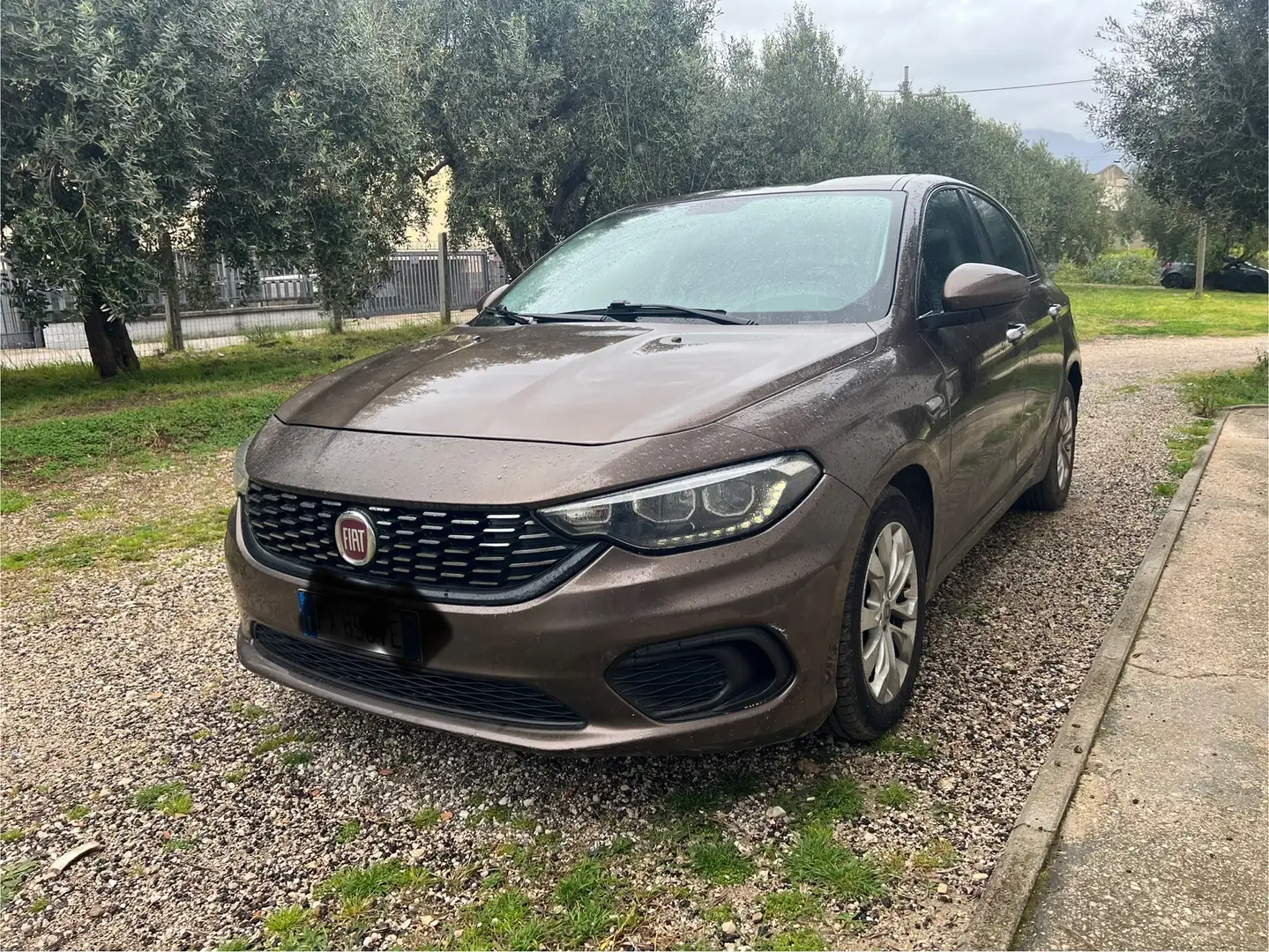 Fiat Tipo Tipo 5p 1.4 Easy 95cv my17 Marrone - 1