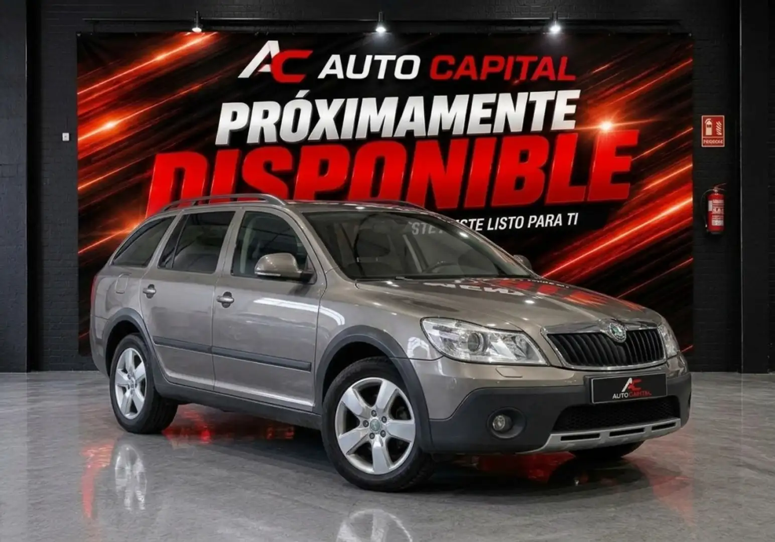 Skoda Octavia Todoterreno Manual de 5 Puertas Gris - 1