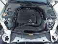 Mercedes-Benz C 220 Cabrio E 350 Blanco - thumbnail 19