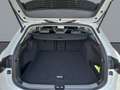 Volkswagen Passat 1.5 TSI DSG Business+AHK+NAVI+KAMERA+ACC+PDC+SHZ Weiß - thumbnail 21