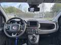Fiat Panda 0.9 TwinAir Turbo 85cv 4x4 Cross Grigio - thumbnail 8