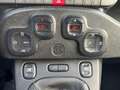 Fiat Panda 0.9 TwinAir Turbo 85cv 4x4 Cross Grigio - thumbnail 16
