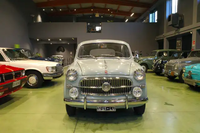 Fiat 1100 103