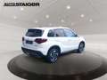 Suzuki Vitara 1.4 Comfort+ Allrad Panoramaglas*PDC* Blanc - thumbnail 6