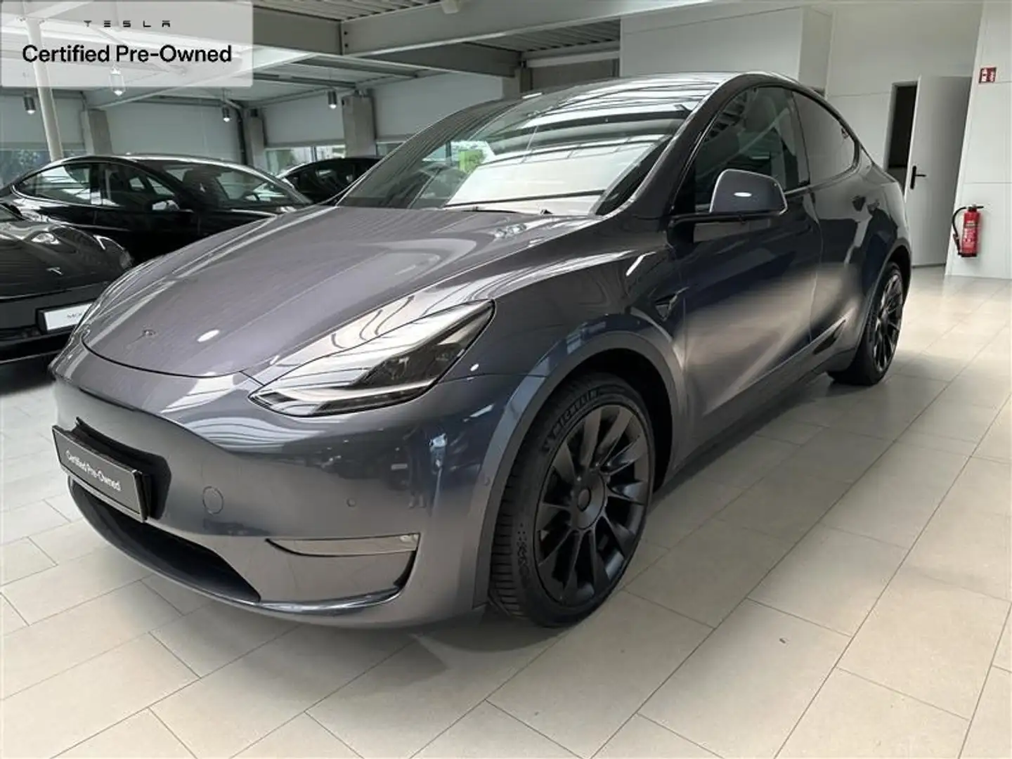 Tesla Model Y Model Y Long Range Dual Motor AWD Gris - 2