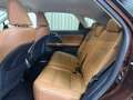 Lexus RX 300 AWD President Line / FACELIFT / Bj 2020 / Keyless Marrón - thumbnail 19