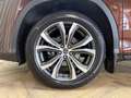 Lexus RX 300 AWD President Line / FACELIFT / Bj 2020 / Keyless Marrón - thumbnail 22