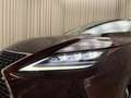 Lexus RX 300 AWD President Line / FACELIFT / Bj 2020 / Keyless Marrón - thumbnail 40