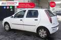 Fiat Punto Evo FIAT Punto 1.9 JTD 5 porte Active 63KW ANNO 2004 Weiß - thumbnail 15