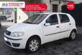 Fiat Punto Evo FIAT Punto 1.9 JTD 5 porte Active 63KW ANNO 2004 Weiß - thumbnail 11