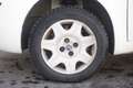 Fiat Punto Evo FIAT Punto 1.9 JTD 5 porte Active 63KW ANNO 2004 Weiß - thumbnail 5