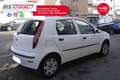 Fiat Punto Evo FIAT Punto 1.9 JTD 5 porte Active 63KW ANNO 2004 Weiß - thumbnail 13