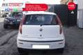Fiat Punto Evo FIAT Punto 1.9 JTD 5 porte Active 63KW ANNO 2004 Weiß - thumbnail 7
