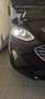 Ford Fiesta 5p 1.0 ecoboost Titanium 100cv - thumbnail 1