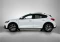Ford Focus 1.0 EcoBoost Hybrid Active X Business | Panoramada Blanco - thumbnail 3