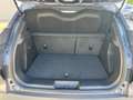 VinFast Sonstige VF6 150 kW Plus/Panorama Dach/Kamera/1. Hand Braun - thumbnail 16