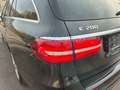 Mercedes-Benz E 200 d T Avantgarde Standheizung 95tkm AHK Nero - thumbnail 10