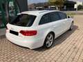 Audi A4 A4 Avant 2.0 tdi S Line  multitronic NEOPATENTATI Weiß - thumbnail 6