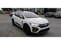 Dacia Sandero Stepway 1.0 ECO-G 100 Extême Blanc - thumbnail 21