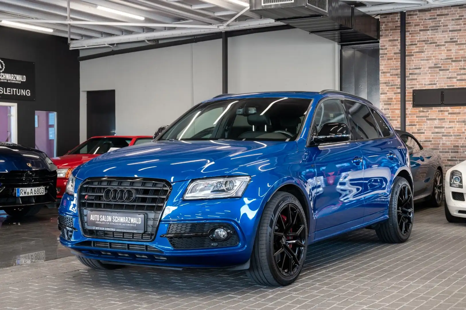Audi SQ5 3.0 TDI plus quattro|RAUTE|PANO|STDHZ|B&O Azul - 2