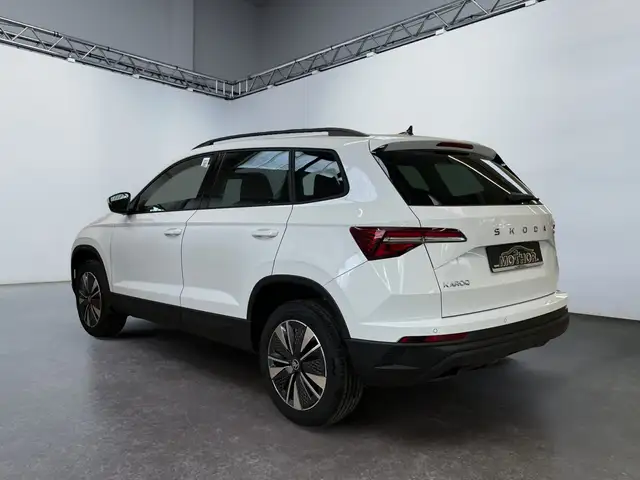Skoda Karoq view 4