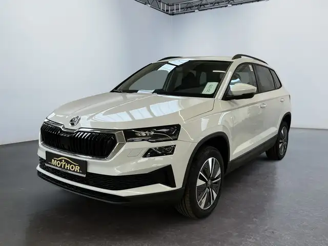 Skoda Karoq view 2