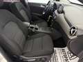 Mercedes-Benz B 180 d Style Aut. *MEMORY*AHK*LED* Weiß - thumbnail 12