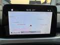 Ford Focus EcoBlue.Nav.Temp.SHZ.Serv-Neu.EU6 GARANTIE.1Hd Grau - thumbnail 7