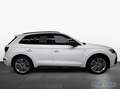 Audi Q5 40 TDI qu S Line Int Pano,Standhzg,Luft/air,B&O,Na Weiß - thumbnail 5