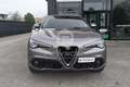Alfa Romeo Stelvio Stelvio 2.2 Turbodiesel 210 CV AT8 Q4 Executive Zilver - thumbnail 2