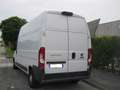 Fiat Ducato 35 2.3 MJT 130CV LH3 Euro6 Bianco - thumbnail 4