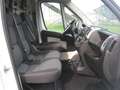 Fiat Ducato 35 2.3 MJT 130CV LH3 Euro6 Bianco - thumbnail 7
