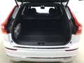 Volvo XC60 T6 Recharge AWD Plus Bright 20"+AHK+WINTER- Weiß - thumbnail 11