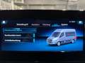 Mercedes-Benz Sprinter TOURER 316 L2 9SITZE 2xSCH-TÜR AHK-3,5T MBUX10,25" Grün - thumbnail 27