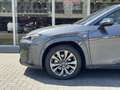Lexus UX 250h F Sport Line | Facelift, Head up display, Blind Sp Grijs - thumbnail 10